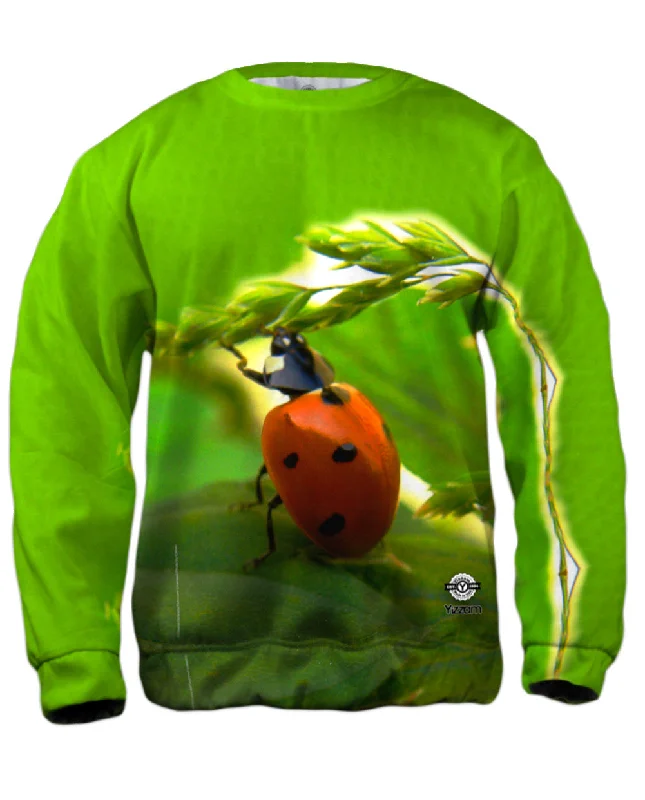 Pull Ups Ladybug